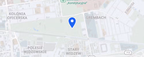 Pędzące Renifery