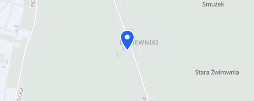 Zabiegany Rzgów
