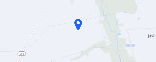 Bieg i marsz NW Dzika Dyszka w Brzezinach