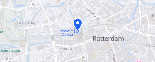 DSW Bruggenloop Rotterdam