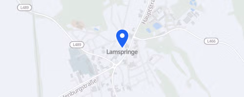 Lamspringer Klosterlauf