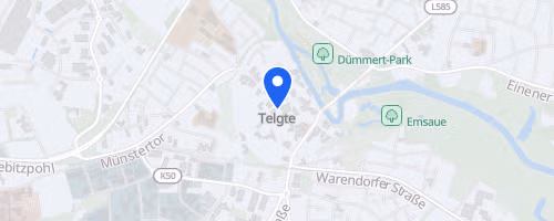 19. Volksbank-Citylauf Telgte