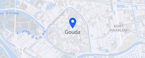 Goudse singelloop by Night