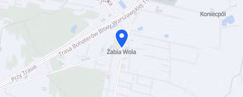 Poland Bike Road