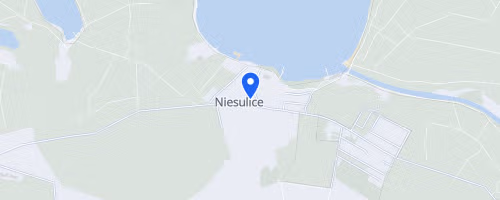 Niesulicka Dziesiątka