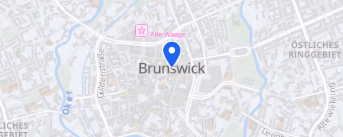 40. Braunschweiger Nachtlauf