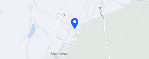 Bieg w Dobrym Kierunku