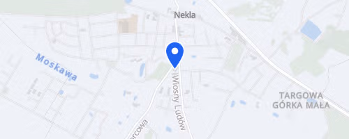 Nekielski Bieg do Lata