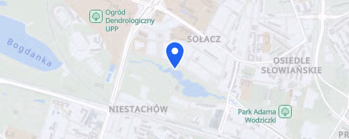 Biegi Poznań