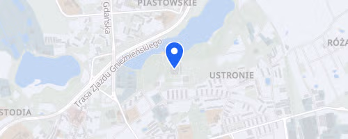 XXII Bieg Europejski
