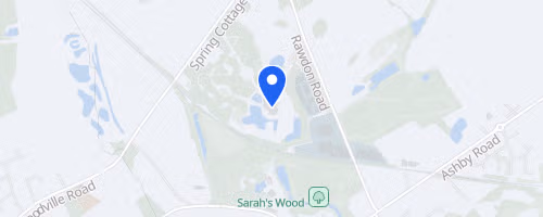Run in the Forest