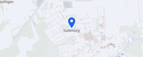 5. Suderburger Abendlauf