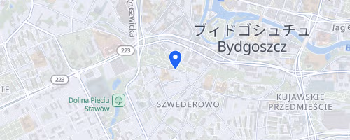 XVII BIEG MĘCZEŃSTWA I PAMIĘCI NARODOWEJ NA SZWEDEROWIE