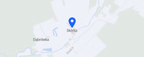 Bieg Przeszkodowy Skórkowaniec