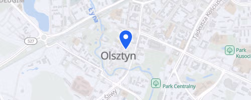 XXIX Marszobieg Olsztyński