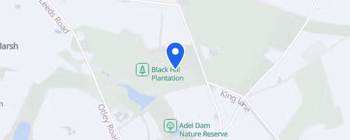 Golden Acre Relay