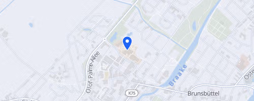 24. Brunsbüttler Citylauf