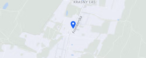 III Elblaski Bieg Nocny pod Gwiazdami