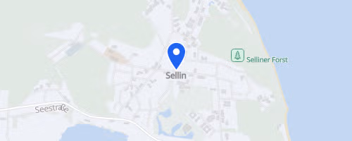 Selliner Seebrückenlauf - Lauf II