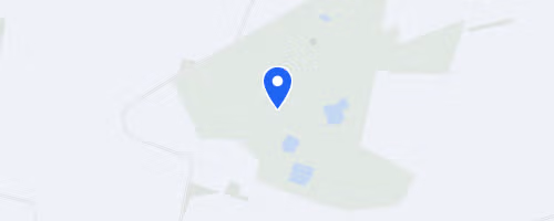 Watchtree Half Marathon