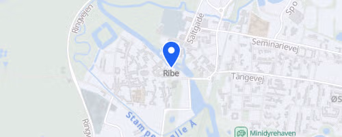 BersærkerWALK Ribe