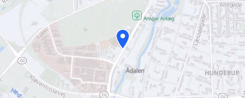 Nytårsløbet Odense 2026