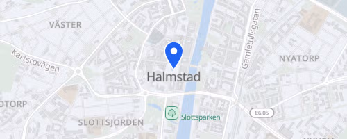 Blodomloppet Halmstad