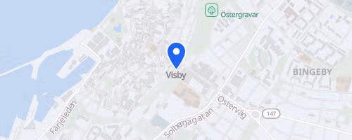 Blodomloppet (Visby)