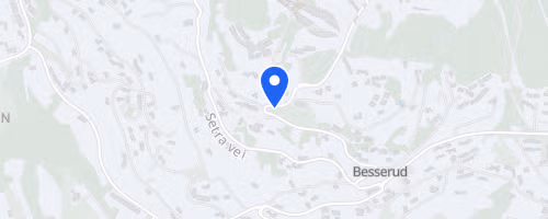 Toughest Oslo