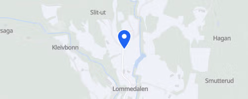 Lommedalen Løpskarusell