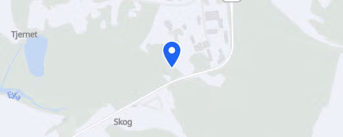 Chicken Bootcamp Race