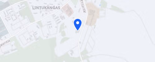 Maantiekisat
