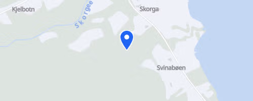 Svartløken rundt