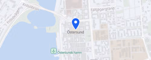 Blodomloppet Östersund
