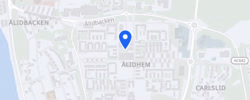 Fredsloppet Umeå