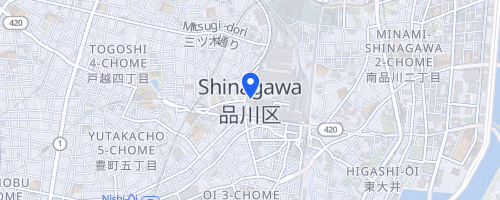 第10回大井東京夏マラソン