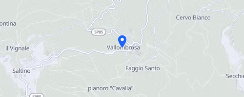 13° Green Run – Vallombrosa Trail