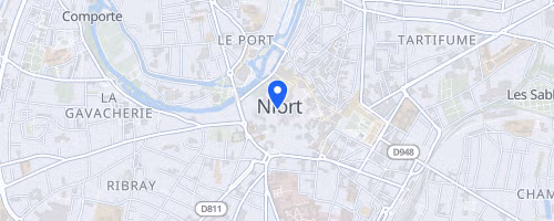 Les foulées de cholette et surimeau - Niort