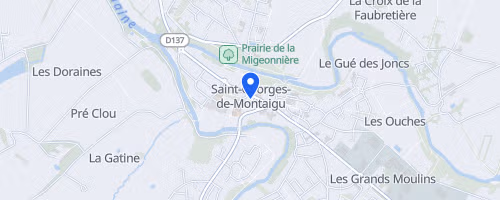 Trail des maines - Montaigu-Vendée