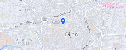 La course du bien public - Dijon