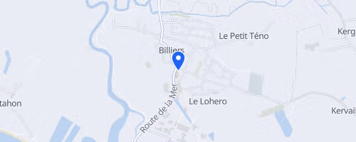 Foulées de Billiers
