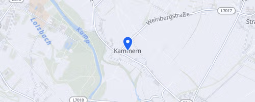 Seizer Herbstlauf