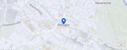 SWE-Halbmarathon Ettlingen