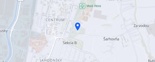 Martinský beh medikov