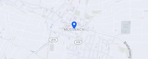 3. Mußbacher Eselshautlauf