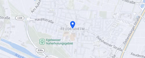 35. Herbstlauf der DJK Feudenheim