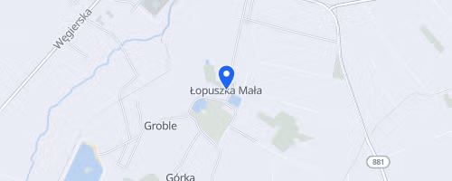 Kryterium Biegowe Łopuszki Małej