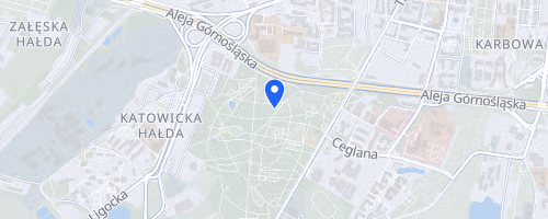 XVII Bieg do Slonca