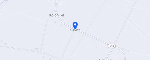 Kunicki Bieg Reggae