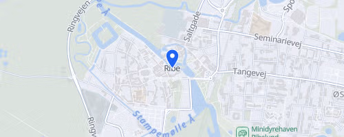 BersærkerWALK Ribe